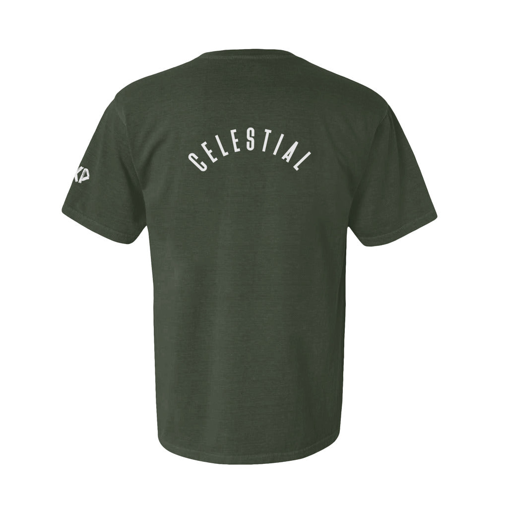 back_109