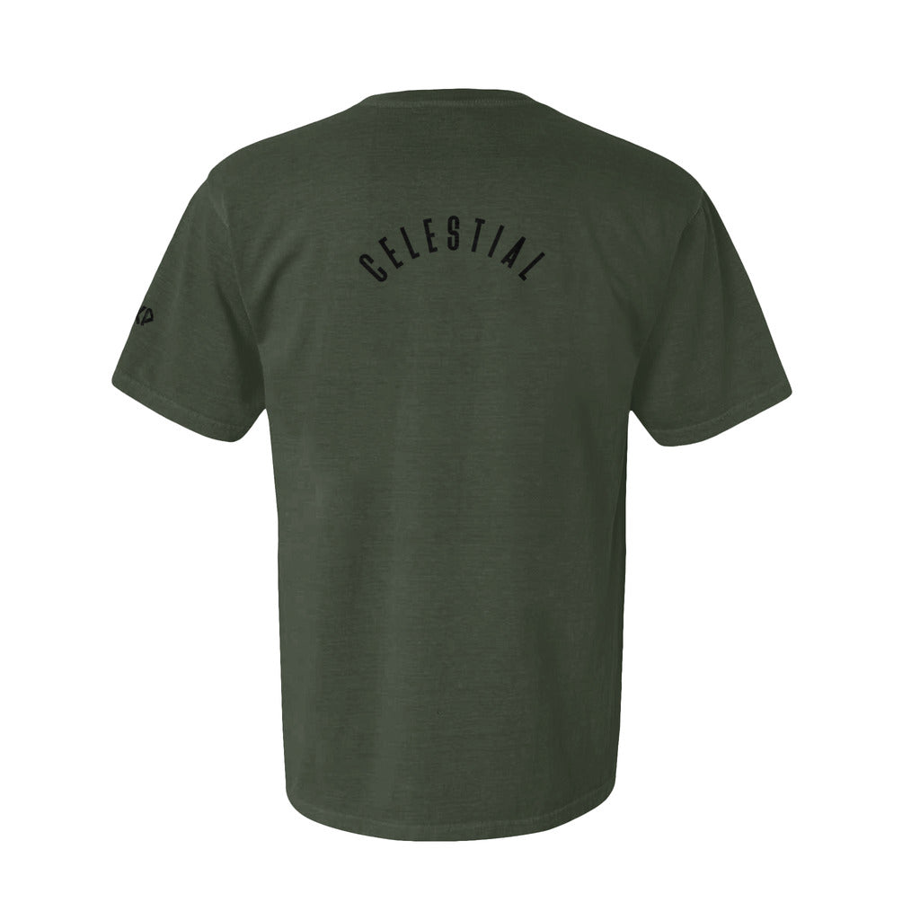 back_109