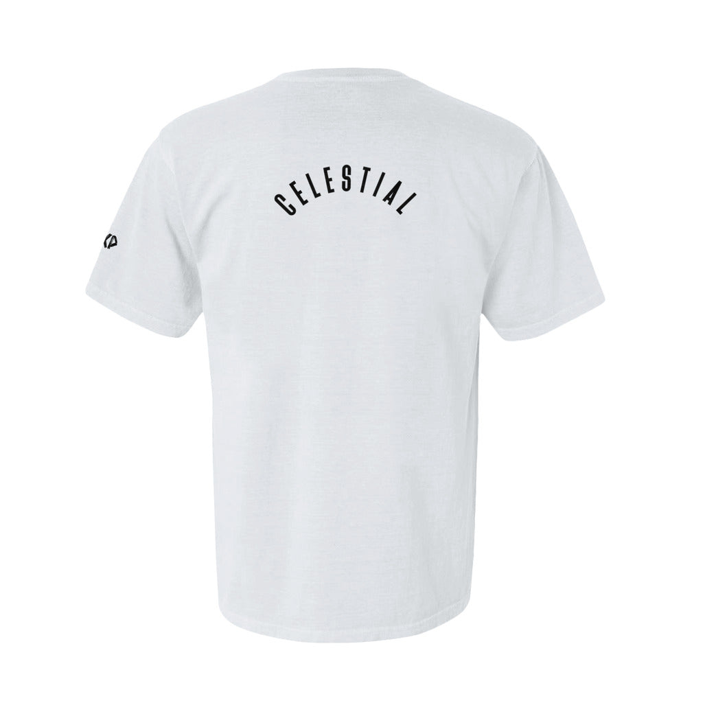 additional_image_back_100